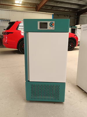 Intelligent 150L Laboratory Bacterial Culture Incubator 0.568kw Cold Rolled Steel Spraying